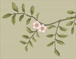手绘 花