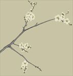 手绘 梅花