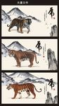 老虎