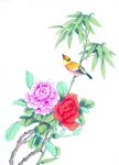 手绘花鸟