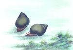 螺丝