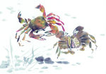 螃蟹
