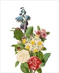 花束