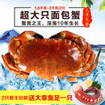 大闸蟹