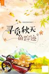 寻觅秋天的踪迹海报