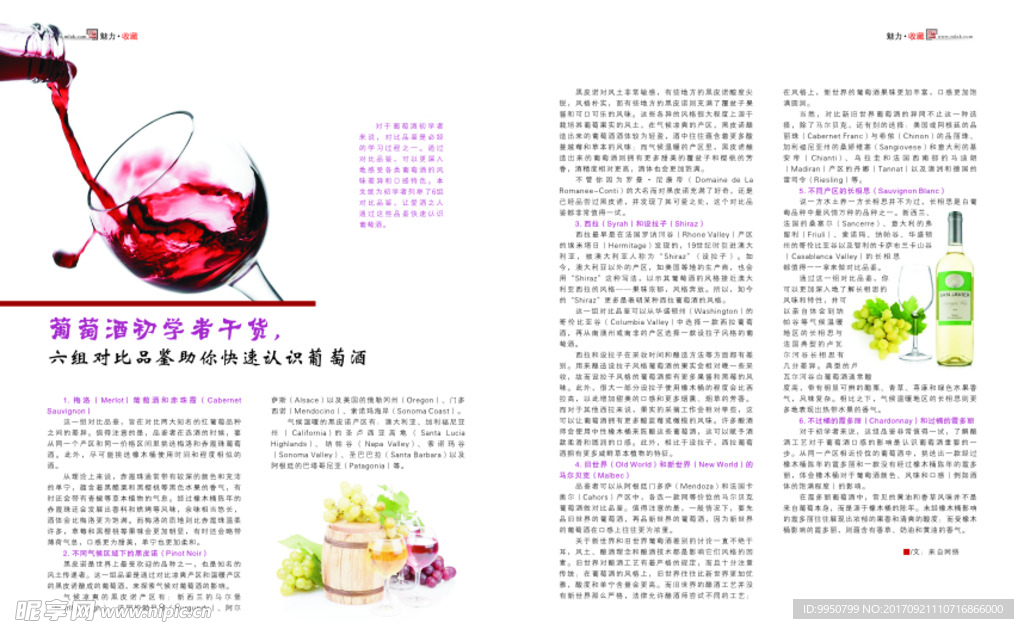杂志设计  版式设计 杂志排版
