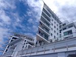 奥克兰港建筑风景