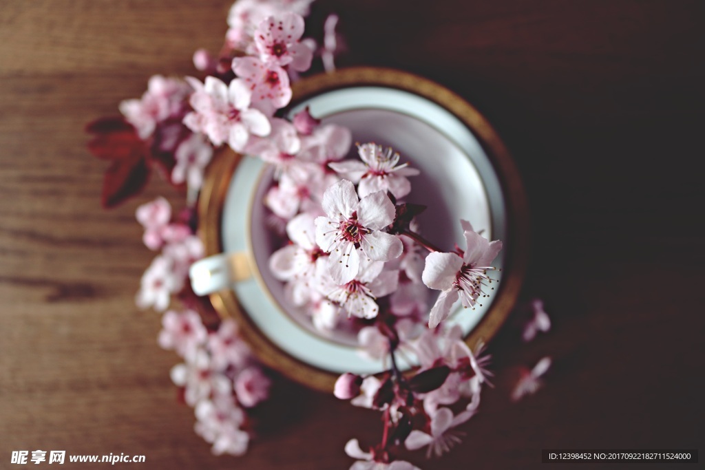 樱花