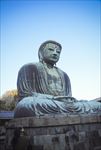 日本镰仓大佛