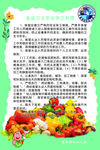 幼儿园食堂制度