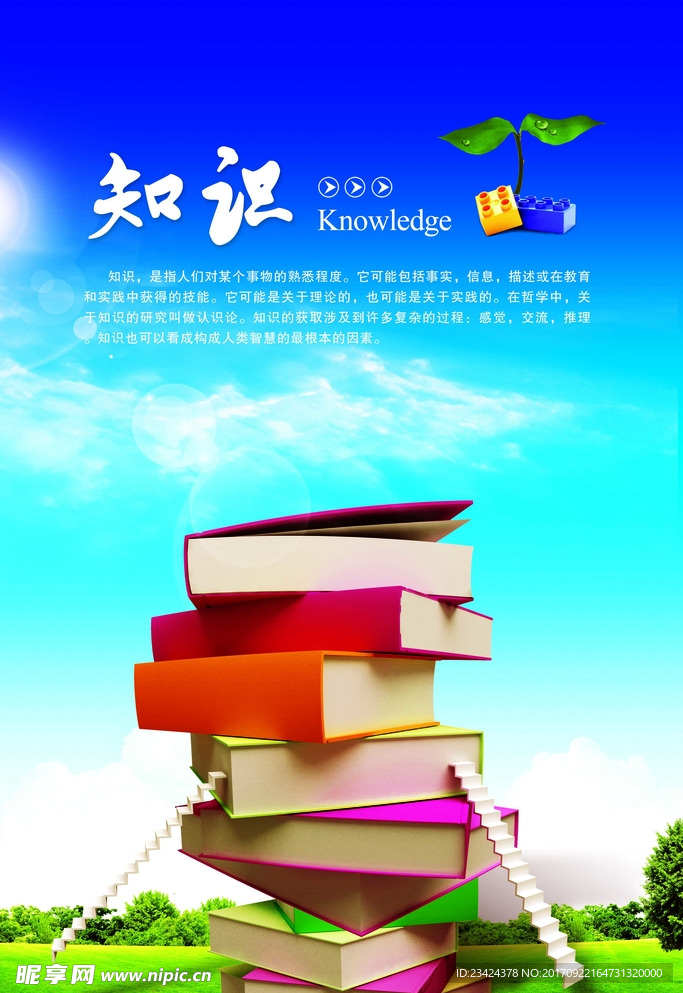 学校展版知识宣传标语励志
