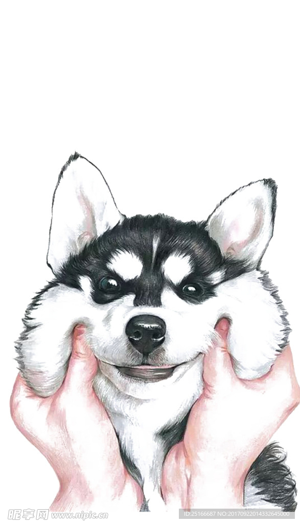 哈士奇 可爱小狗 水彩画