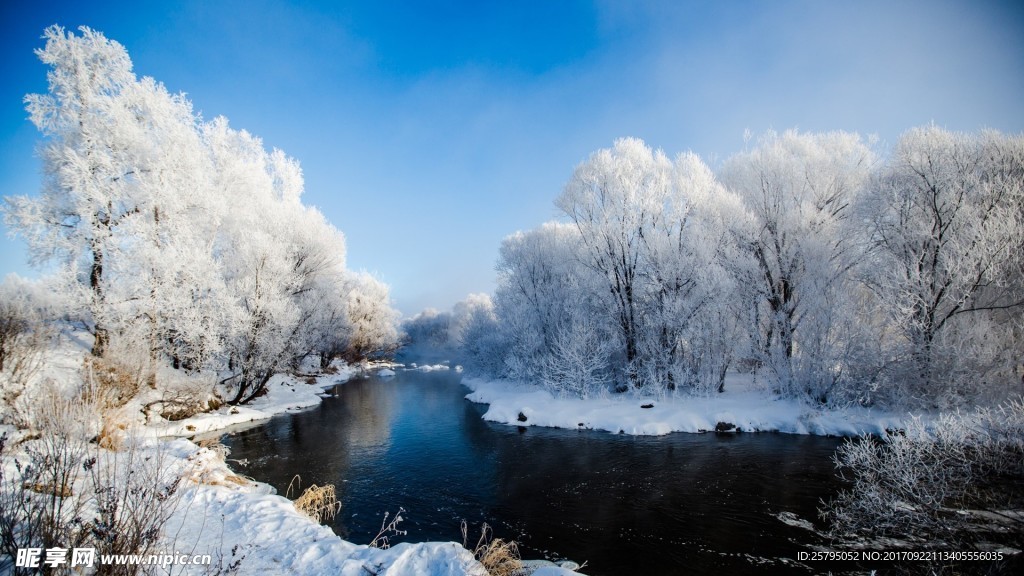 唯美 雪景