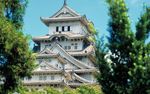 建筑房屋