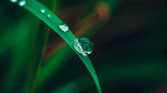 水滴