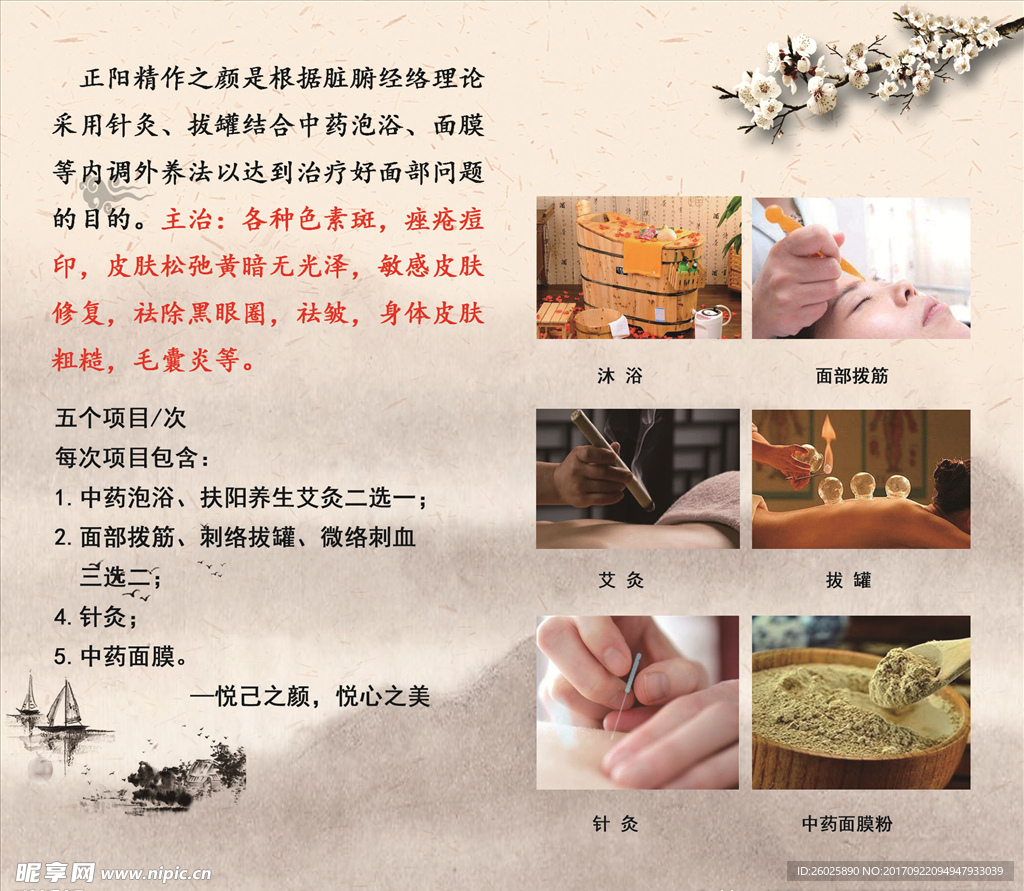 精作之颜内页