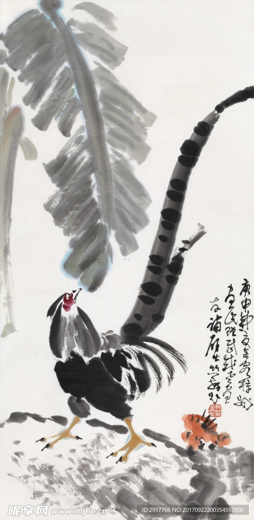 锦鸡