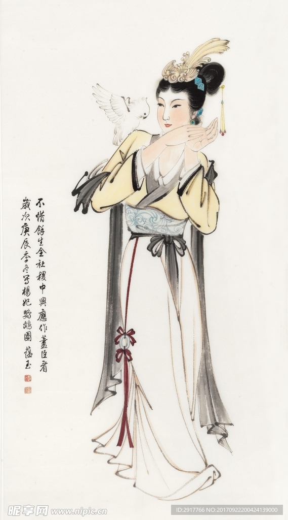 鹦鹉美人