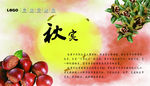 板栗
