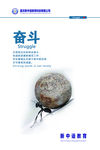 企业文化墙-奋斗