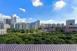 深圳香蜜公园