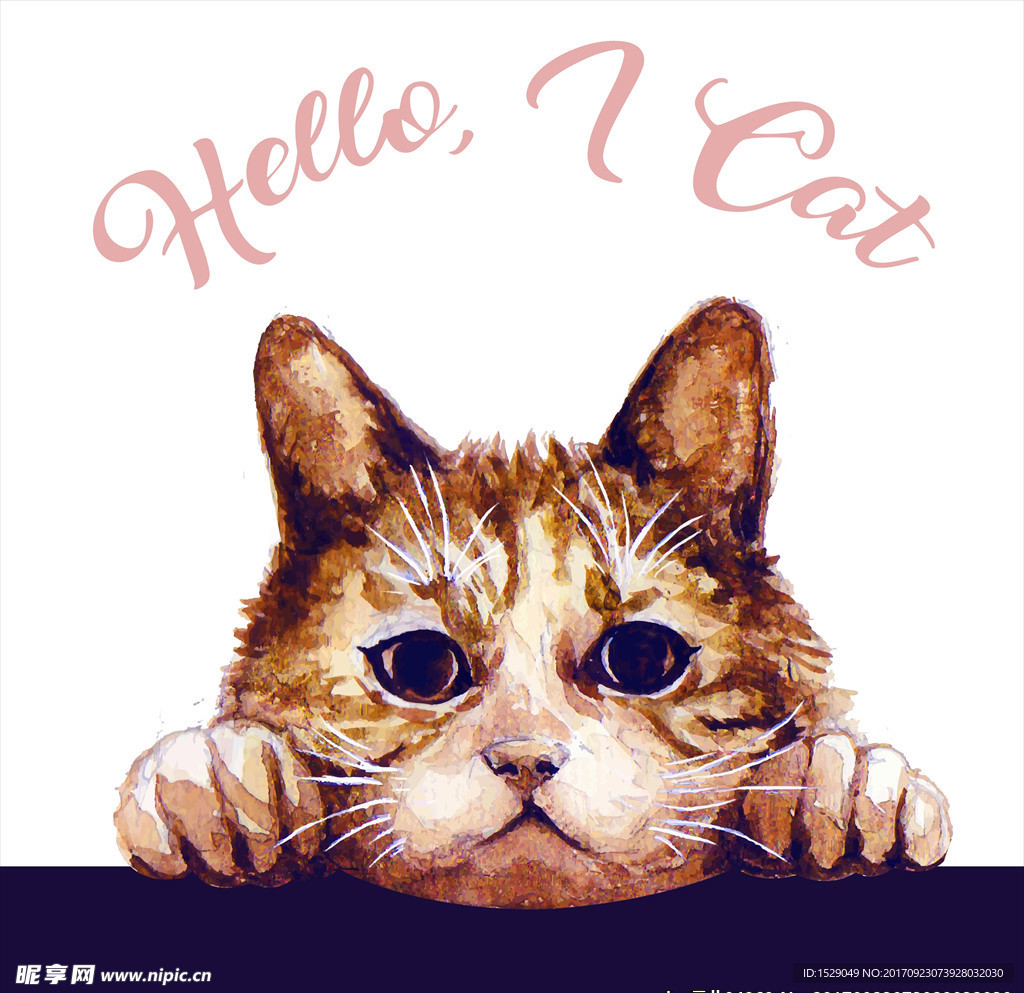 卡通猫