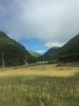 风景照