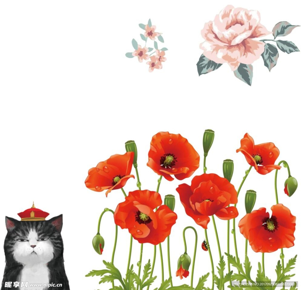 花 猫