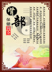 肾部养生