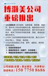 浅蓝色 海报 招商 底纹
