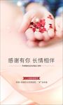 感恩节