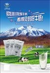 牛奶海报