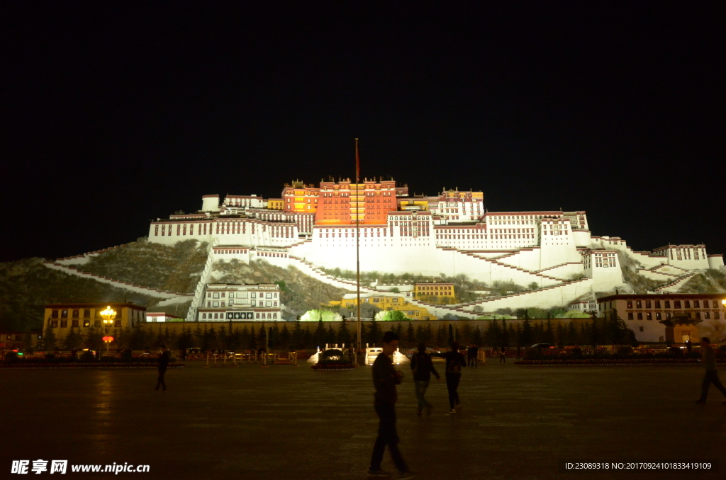 布达拉宫夜景图