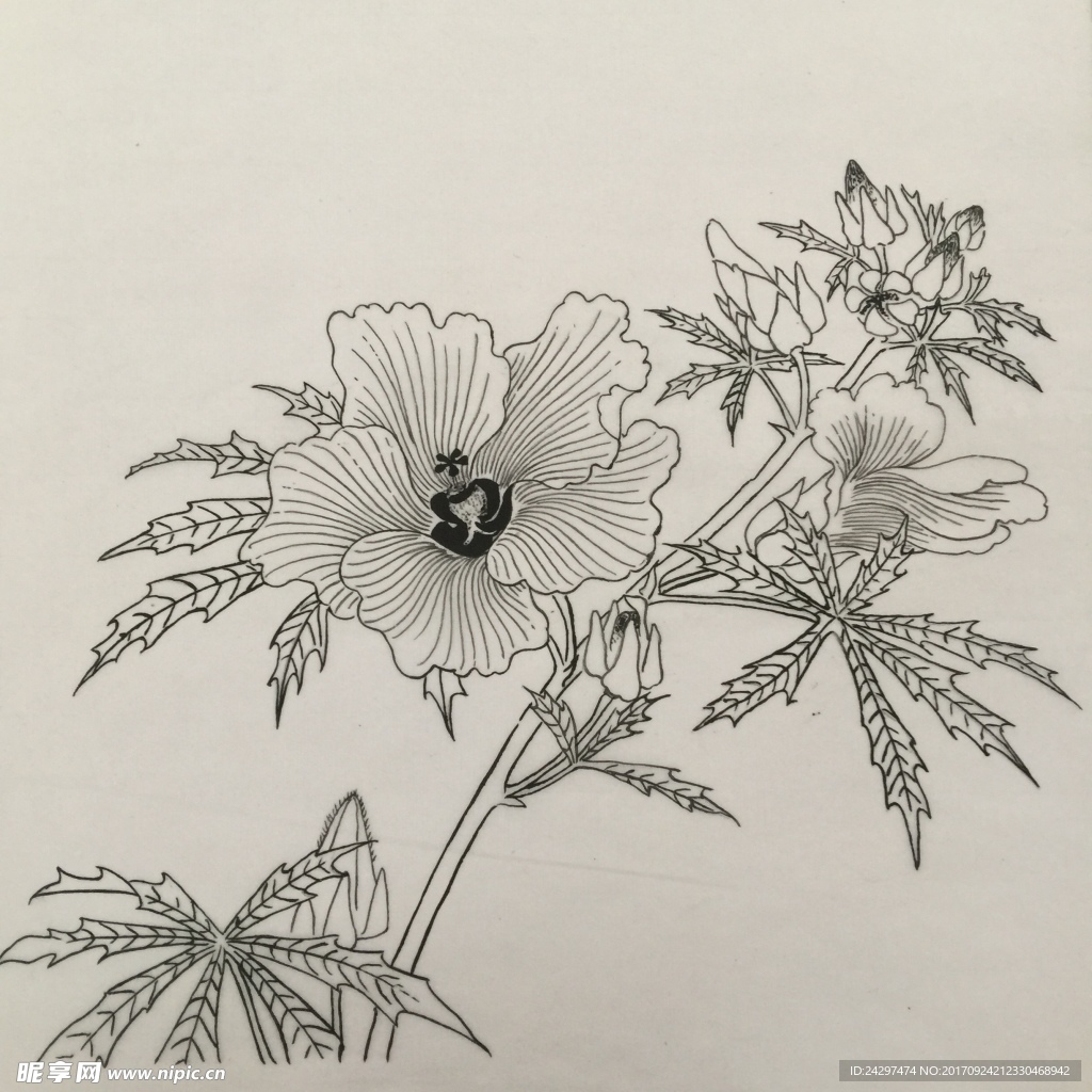 国画花鸟