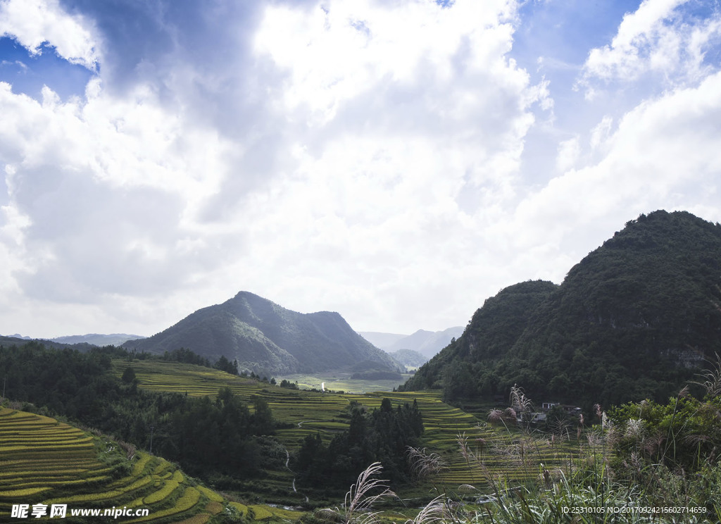 山间梯田