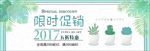 绿色文艺小清新多肉植物淘宝