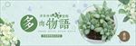 绿色小清新花店多肉植物电商
