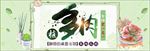 绿色植物绿叶小清新多肉电商