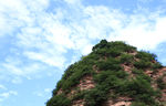 青山