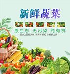 蔬菜海报