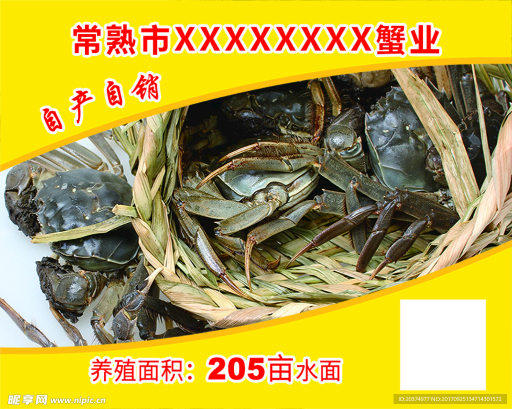 大闸蟹卡片