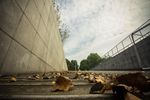 浙江工商大学 风景图 图片 学