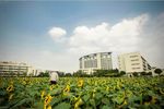 浙江工商大学