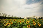 浙江工商大学