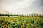 浙江工商大学