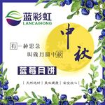 蓝莓月饼标贴