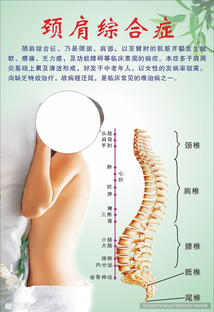 美容美体