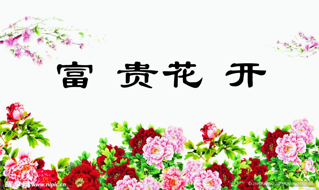 富贵花开