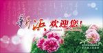 新浜欢迎您