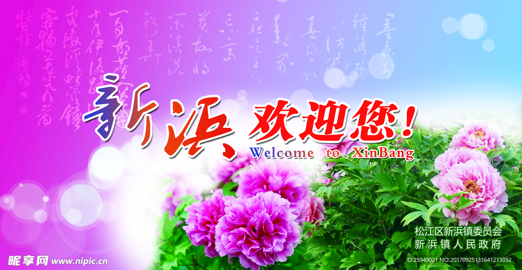 新浜欢迎您